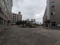 南城标准独院厂房 可分两个小独院 适合办公 贸易 五金 电子