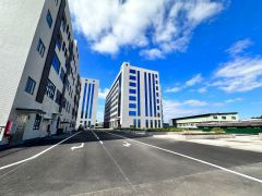 大岭山国有红本厂房低价出租6万平500起租国道边靠近高速