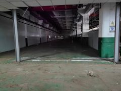 村委独院厂房出租，有5台20顿行车，工业用地，可办环评